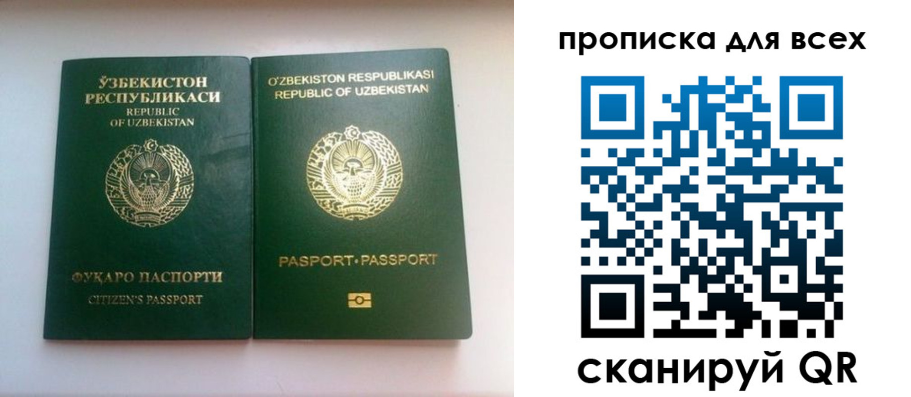 прописка для школы в Армянске